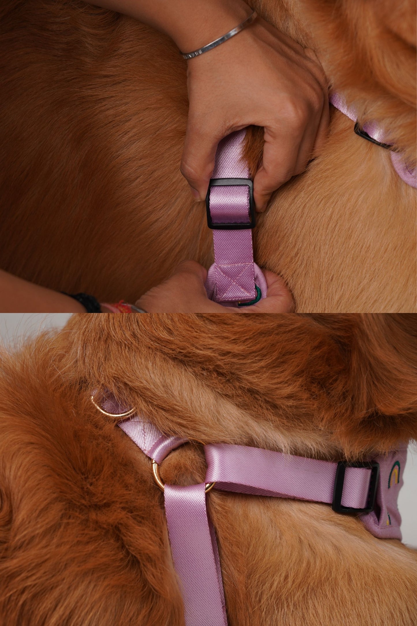 Wag & Wilder Dog Harness- Purple with Embroidery