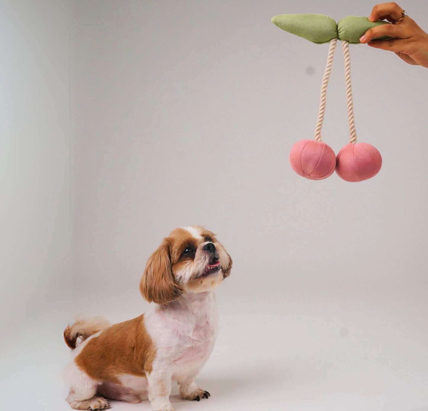 Wag & Wilder Cherry Plush Rope Squeaky Toy