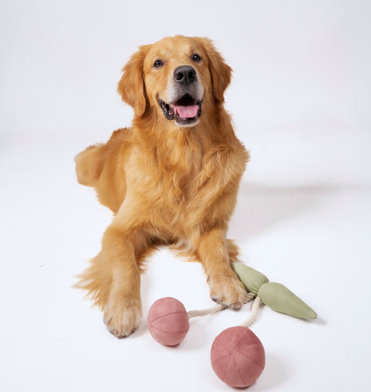 Wag & Wilder Cherry Plush Rope Squeaky Toy