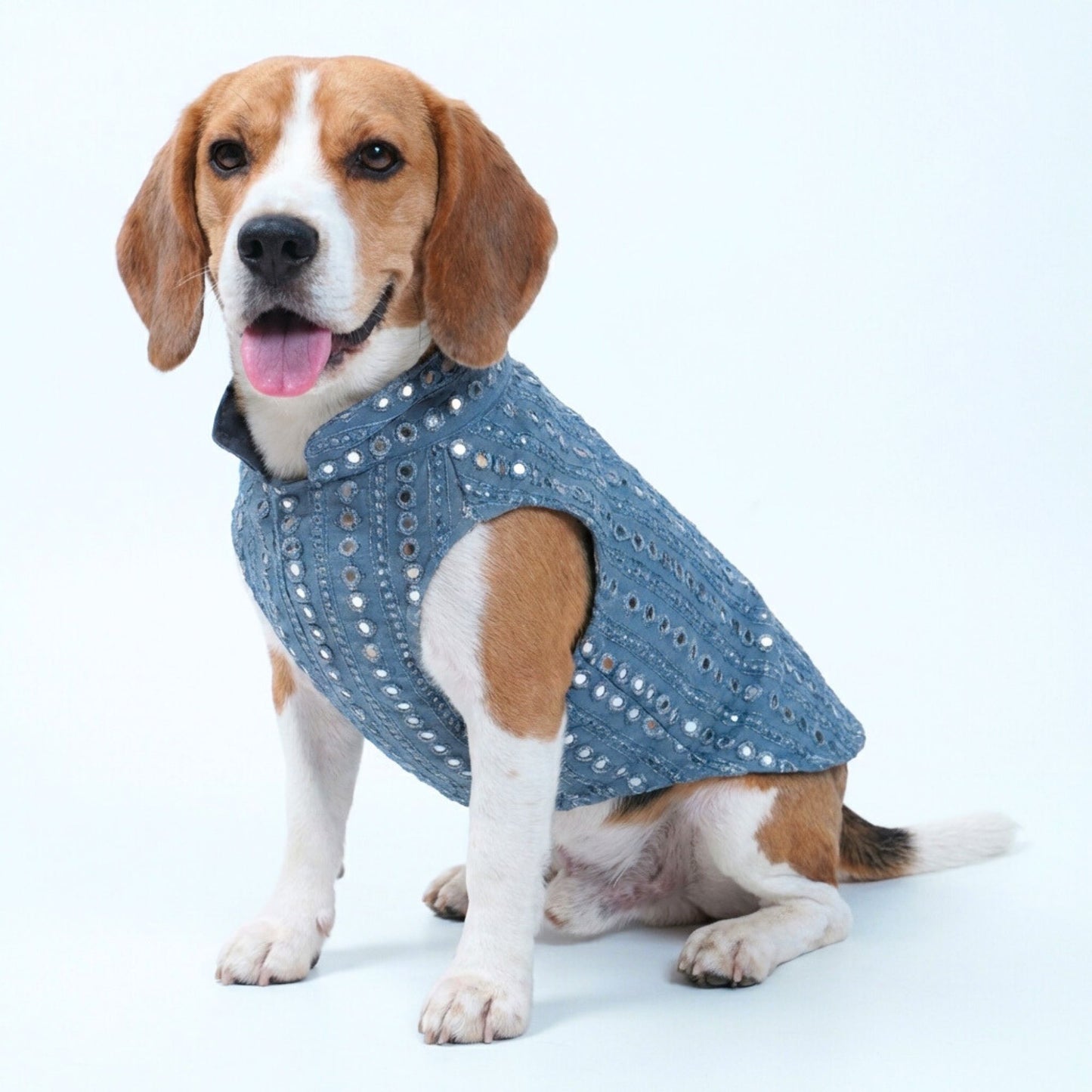 Wag & Wilder Cotton Dog Kurta with Mirror Work