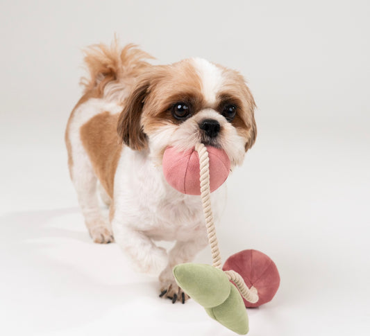 Wag & Wilder Cherry Plush Rope Squeaky Toy