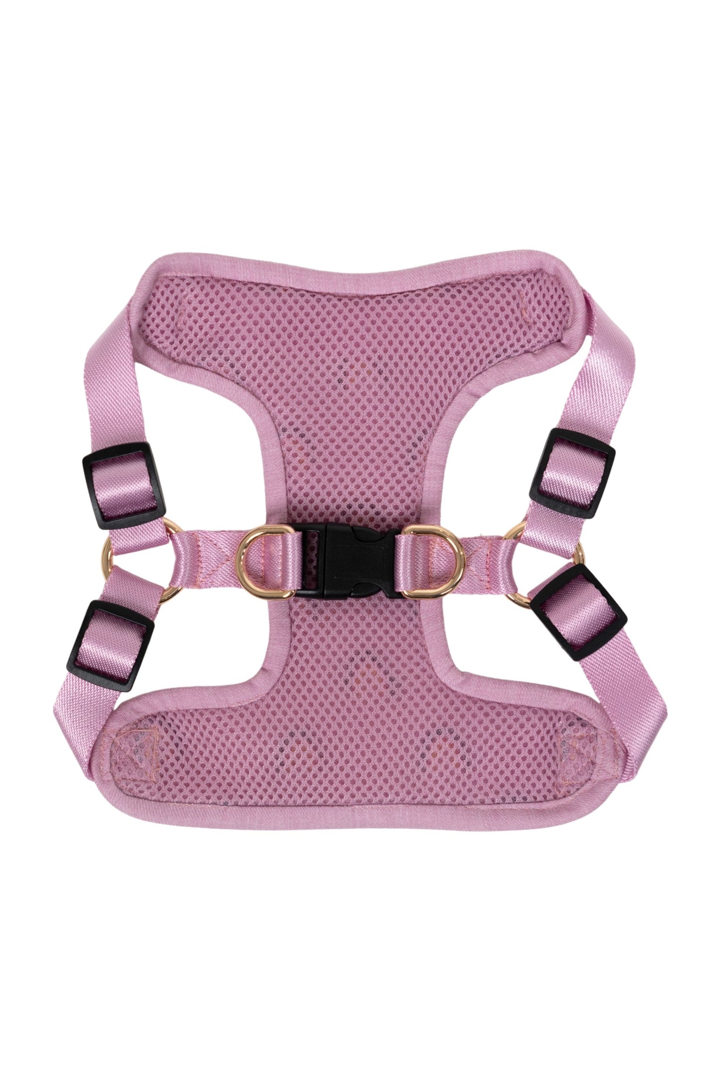 Wag & Wilder Dog Harness- Purple with Embroidery