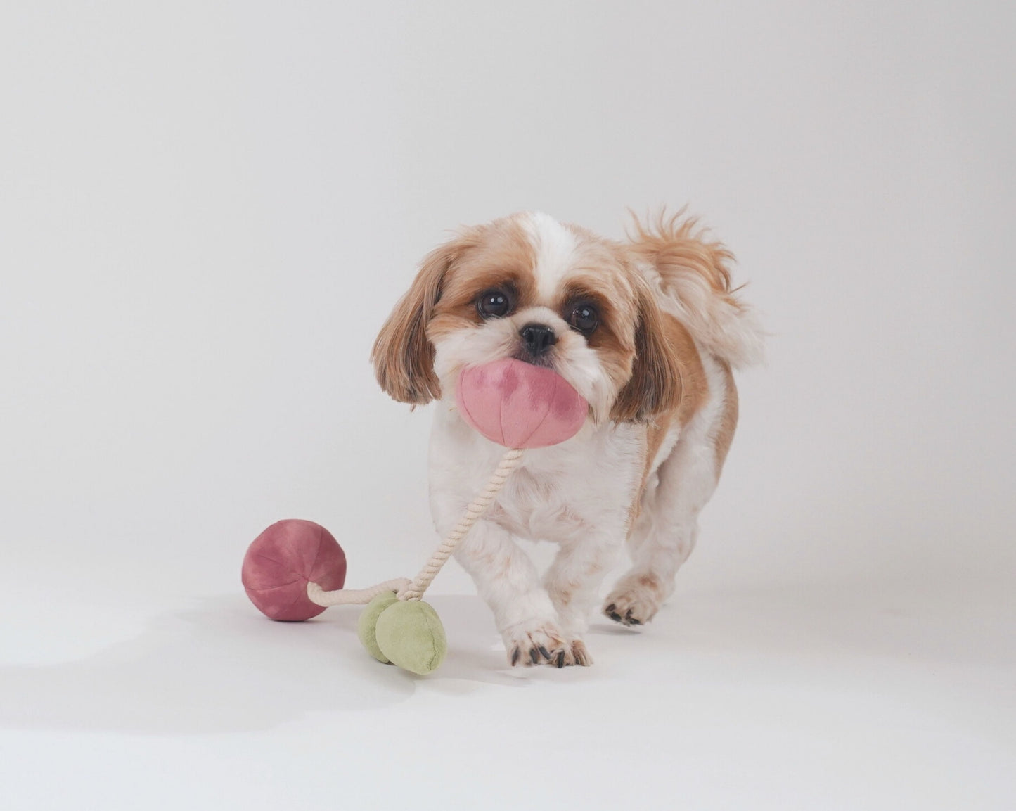 Wag & Wilder Cherry Plush Rope Squeaky Toy