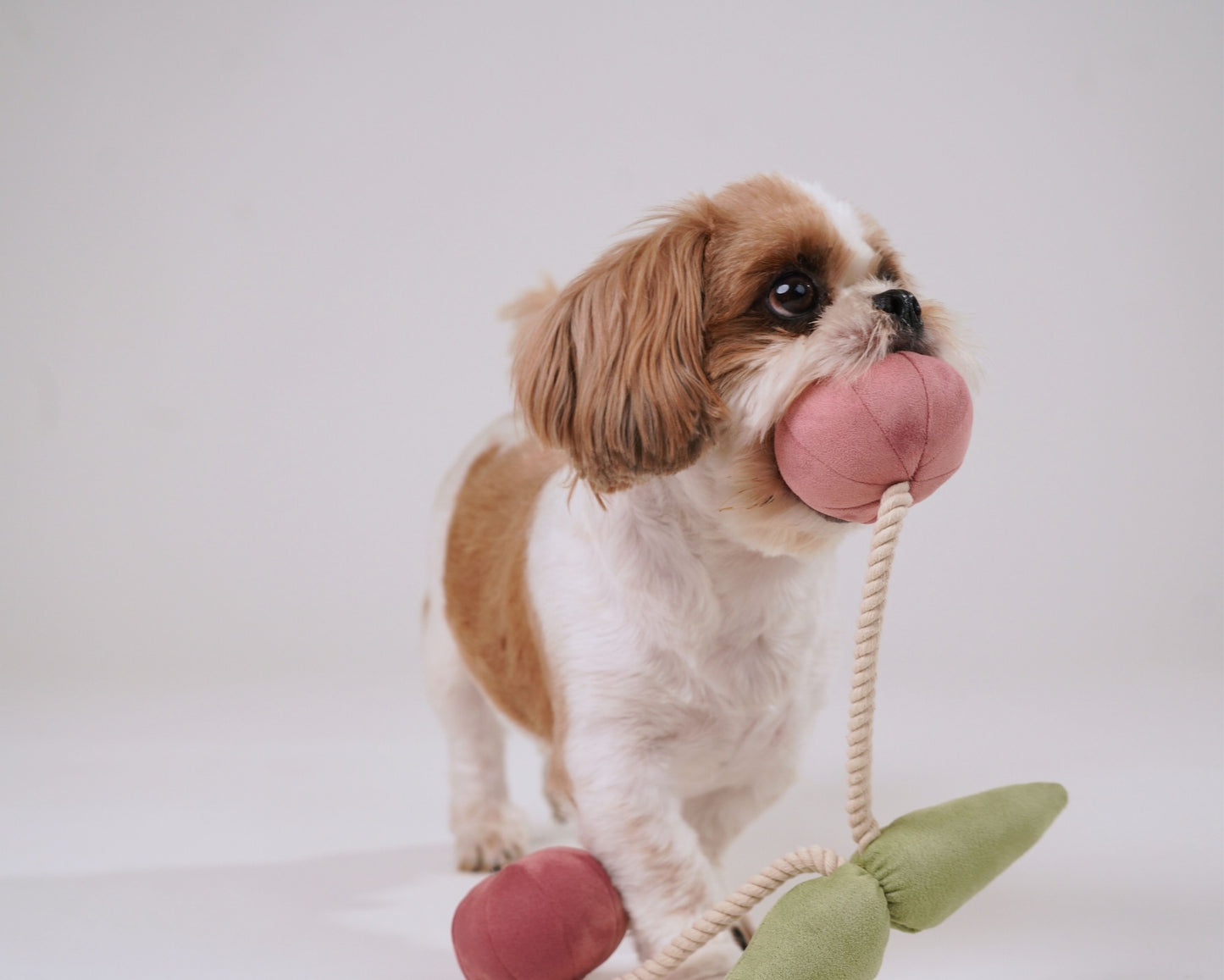 Wag & Wilder Cherry Plush Rope Squeaky Toy