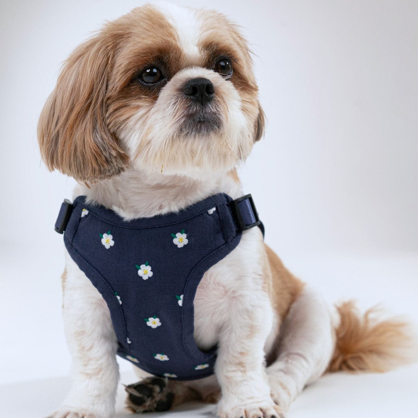 Wag & Wilder Dog Harness- Blue with Embroidery