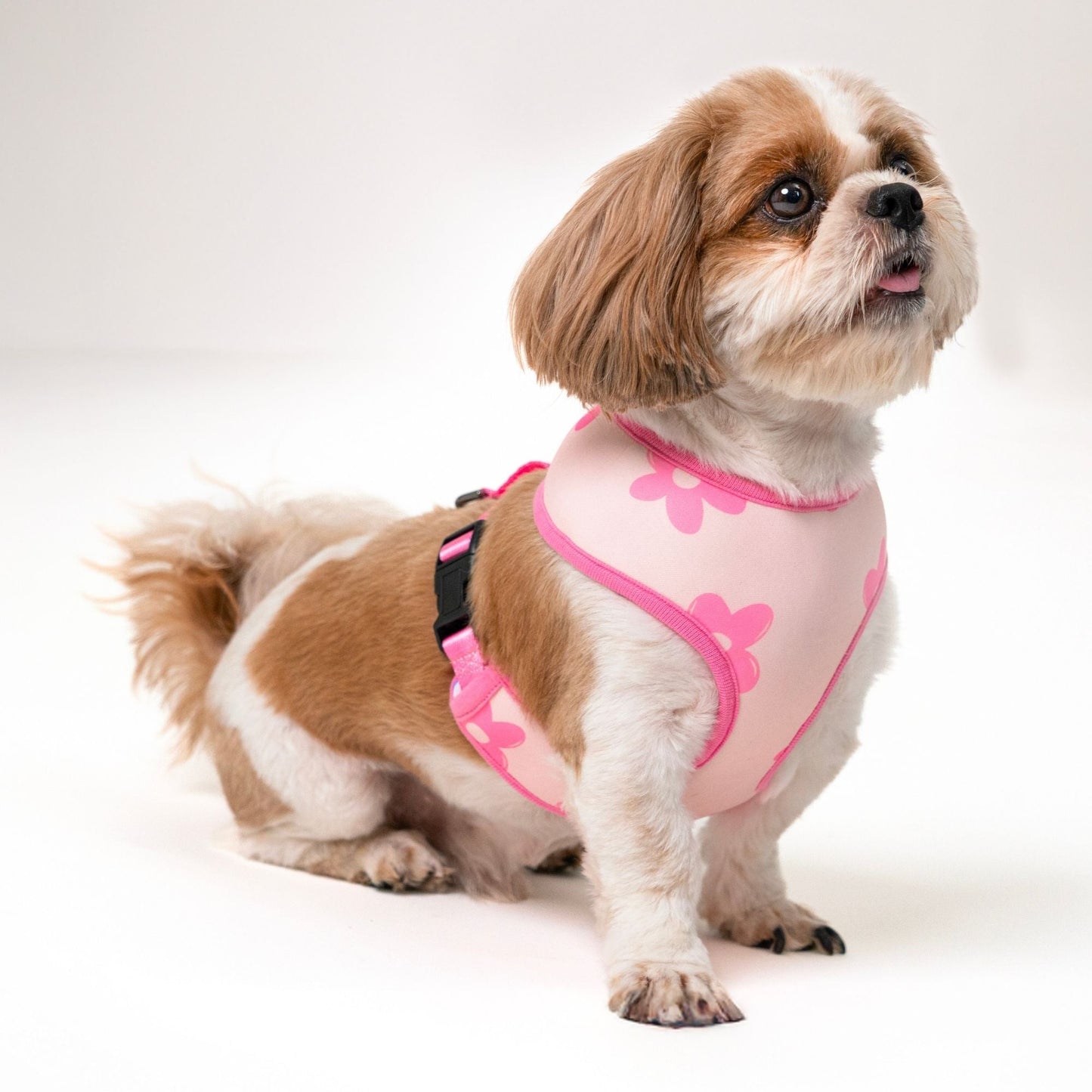 Wag & Wilder Reversible Dog Harness - Pink