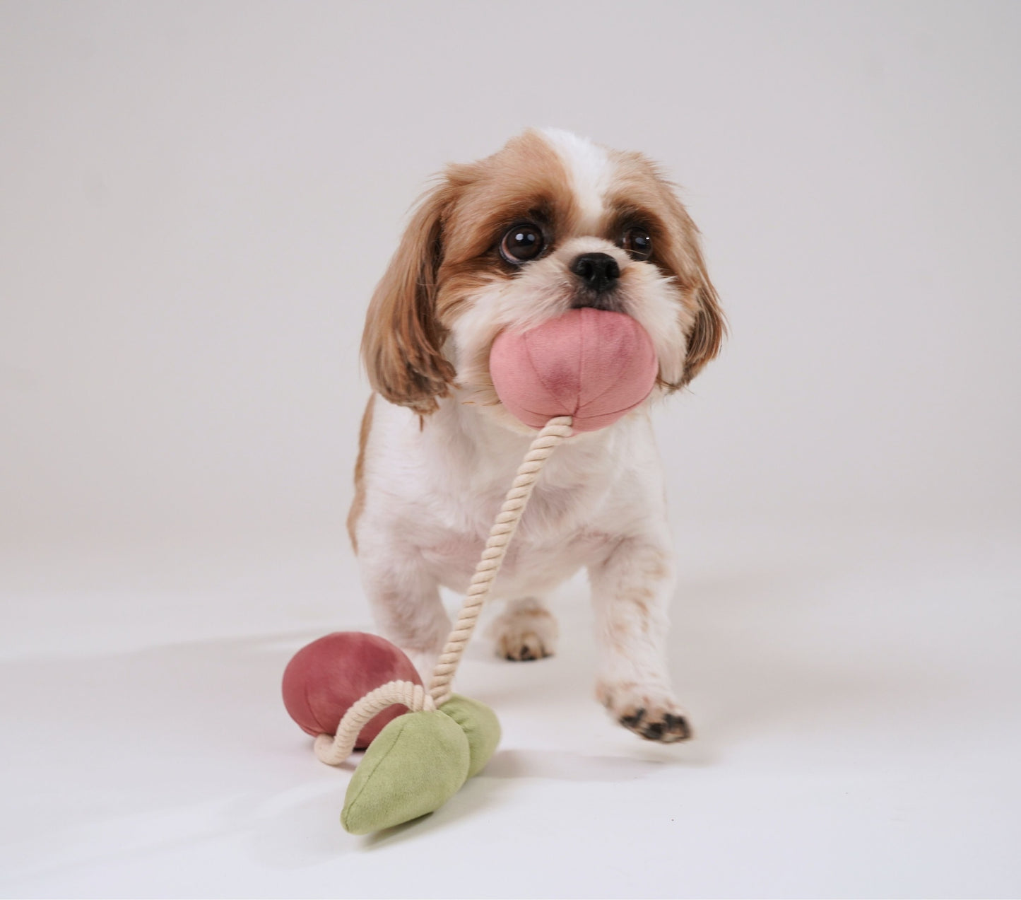 Wag & Wilder Cherry Plush Rope Squeaky Toy