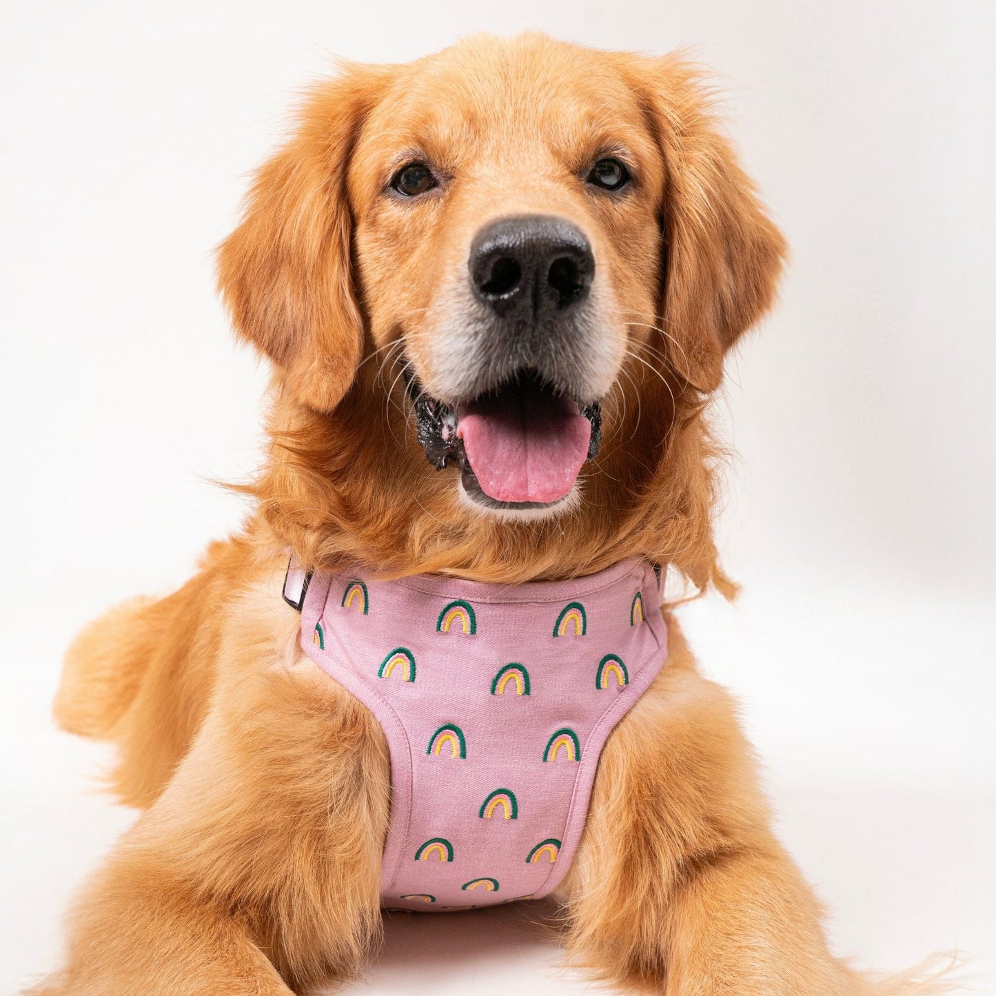 Wag & Wilder Dog Harness- Purple with Embroidery