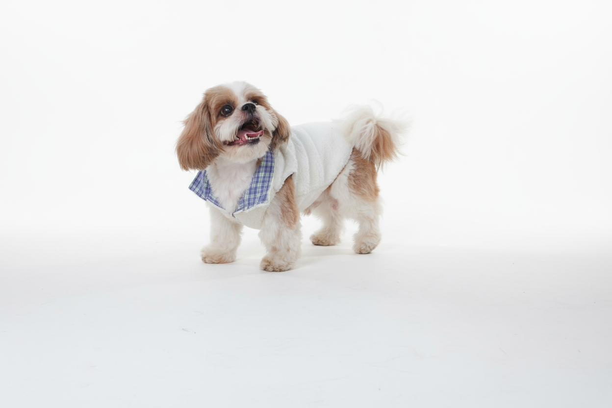 Wag & Wilder Reversible Dog Jacket- Sherpa and Blue Fleece Print