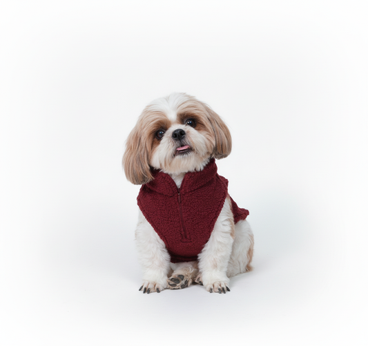 Wag & Wilder Dog Sherpa Sweater- Wine Red