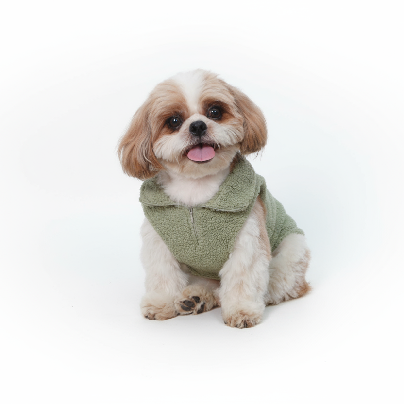 Wag & Wilder Dog Sherpa Sweater- Mint Green