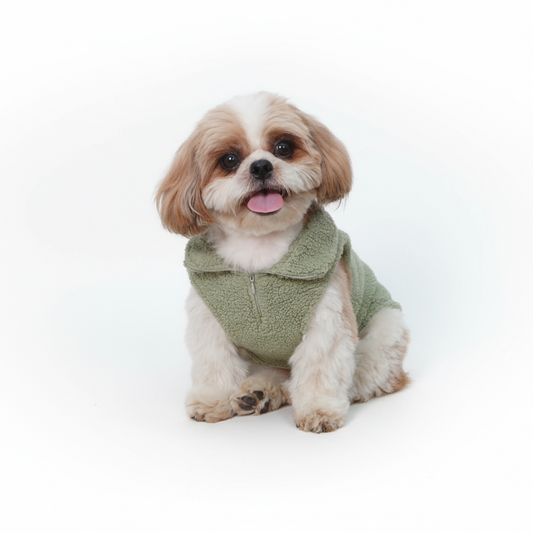 Wag & Wilder Dog Sherpa Sweater- Mint Green