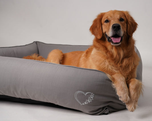 Wag & Wilder Bolster Dog Bed- Grey