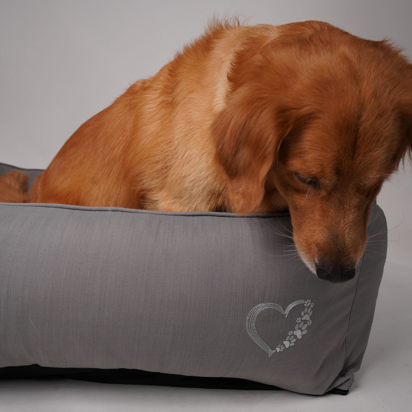 Wag & Wilder Bolster Dog Bed- Grey